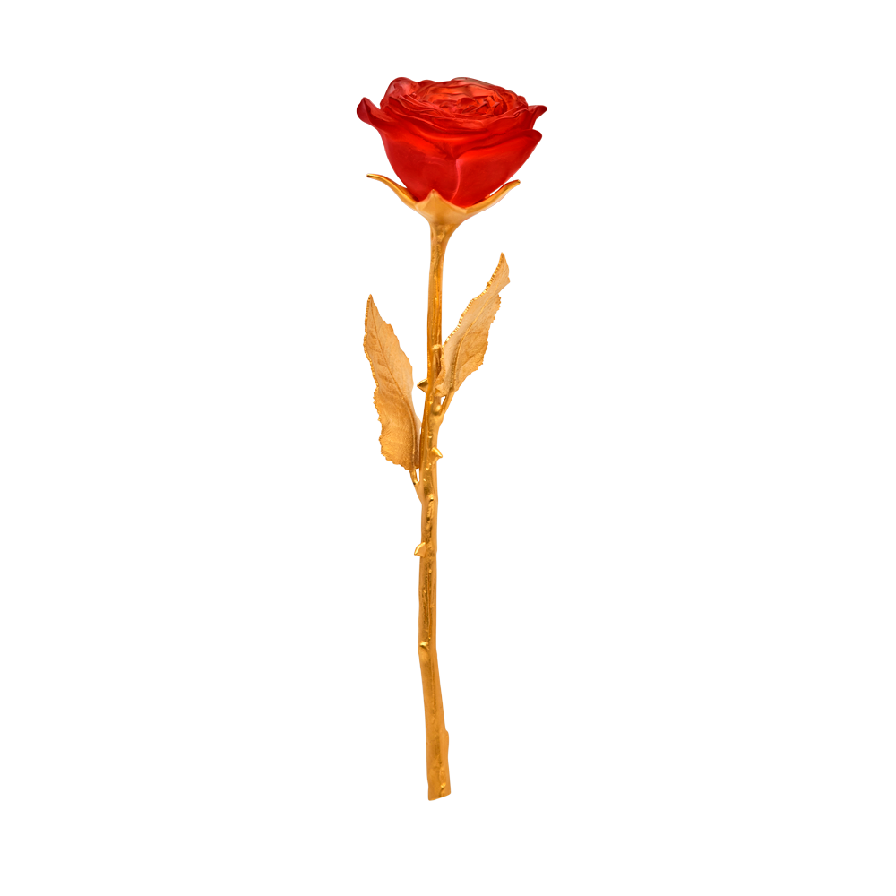 La Rose Eternelle Rouge – Daum Site Officiel
